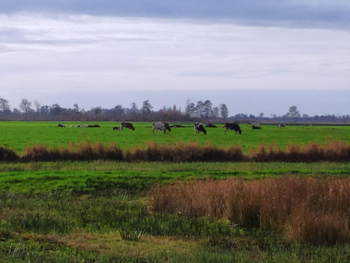 Vakantiehuis Boer Theun Bed and Breakfast Delfstrahuizen Esterno foto